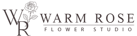Warm Rose